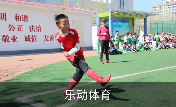 乐动体育品牌故事