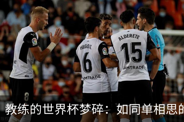 教练的世界杯梦碎：如同单相思的婚礼